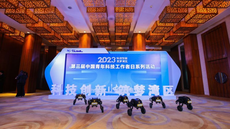 动态数据可视化的关键技术实现路径